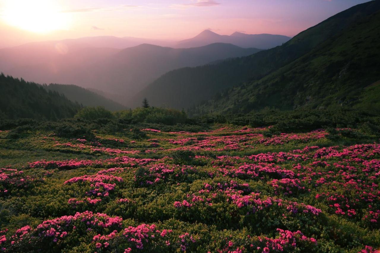 فيلا Huckleberry Ridge بيدجن فورج المظهر الخارجي الصورة